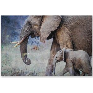 Graphic Message - Print op Dibond Aluminium - Olifant met Jong - Olifanten - Dieren Kunst - 150x100