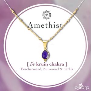 Bixorp Gems Kruin Chakra Dames Ketting met Amethist hanger - 18 Karaat Verguld Goud & Roestvrij Staal - 36cm + 8cm verstelbaar