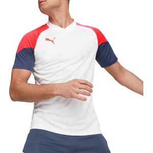 PUMA individualCUP Jersey Heren Sportshirt - Wit - Maat S