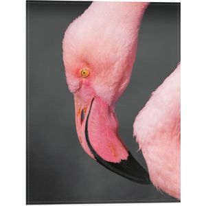 WallClassics - Vlag - Kop van een Roze Flamingo - 30x40 cm Foto op Polyester Vlag