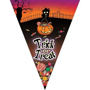 Halloween thema vlaggetjes slinger/vlaggenlijn van 5 meter met 10 puntvlaggetjes - Feestartikelen/versiering