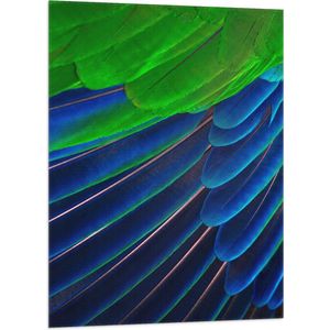 WallClassics - Vlag - Prachtige Blauwe en Groene Veren - 70x105 cm Foto op Polyester Vlag