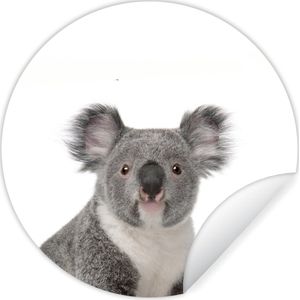Behangsticker koala - Decoratie kinderkamers - Koala - Dieren - Kind - Wit - Meisje - Jongen - 80x80 cm - Slaapkamer decoratie