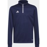 adidas Performance Entrada 22 Trainingsshirt - Kinderen - Blauw- 164