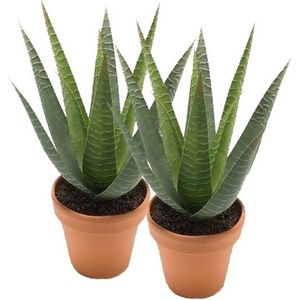 2x Kunstplant aloe vera groen in pot 23 cm - Kamerplant groene aloe vera