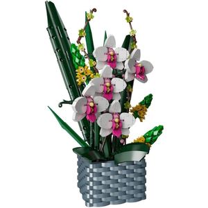 Mould King - Bloemenpracht orchidee | Botanical flowers collection | Classic Creator STEM speelgoed bonsai bloemen bouwpakket compatibel met lego sluban mega | Icons orchideeën bloemenboeket modelbouw volwassenen & kinderen | 1312 bloks Moederdag
