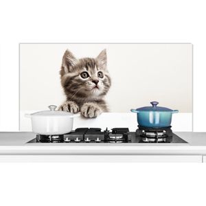 KitchenYeah - Spatscherm - Kat - Grijs - Poes - Kitten - Dieren - Spatwand - 120x60 cm - Achterwand keuken - Muurbeschermer - Spatscherm kat - Keuken decoratie