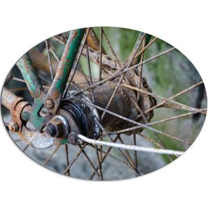 WallClassics - Dibond Ovaal - Spaken van groene Fiets - 96x72 cm Foto op Ovaal (Met Ophangsysteem)