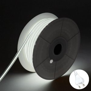COB LED Strip - Koud Wit 6500K - 30 Meter in één rol(1x 30meter) - 800Lumen per meter - 220V - Waterdicht(IP65) - Complete Set