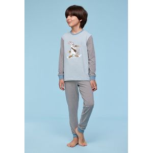 Woody pyjama jongens/heren - blauw-wit gestreept - haas - 232-10-PZL-Z/916 - maat 164