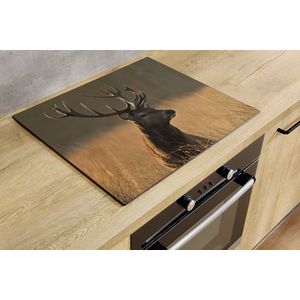 Inductiebeschermer - Hert in het hoge gras - 60x60 cm - Inductiebeschermer - Inductie Afdekplaat Kookplaat - Inductie Mat - Anti-Slip - Keuken Decoratie - Keuken Accessoires