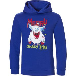 Apollo Kinder Kersttrui Hoodie Jongens Blauw - Maat 152/158