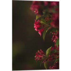 WallClassics - Vlag - Roze Bloemen - 50x75 cm Foto op Polyester Vlag