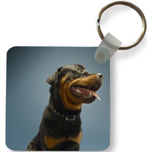 Sleutelhanger - Uitdeelcadeautjes - Studio foto van een Rottweiler op een blauwe achtergrond - Plastic