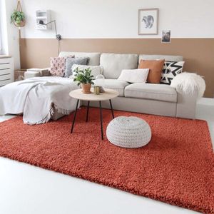 Vierkant hoogpolig vloerkleed shaggy Trend effen - terracotta 140x140 cm