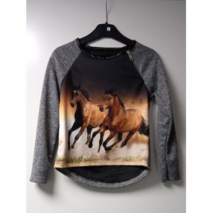 Trui paarden - rits - sweater - 4 jaar