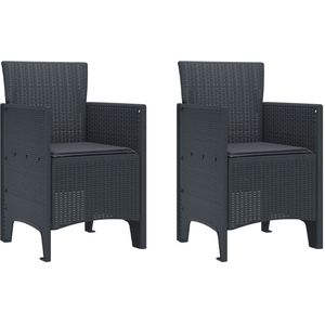 vidaXL - Tuinstoelen - met - Kussens - 2 - stuks - Anthraciet - Poly - Rattan