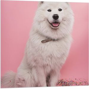 WallClassics - Vlag - Portret van Witte Hond tegen Roze Achtergrond met Confetti - 80x80 cm Foto op Polyester Vlag