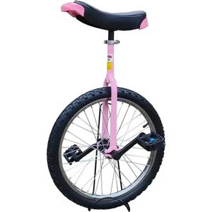 Funsport Eenwieler 18 inch Pink