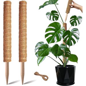 KZQ 2 Stuks mosstokken - Klimpergola voor planten - Kokospalmstokken - 17 inch - Steunpaal - Monstera plantenstandaard - Voor klimplanten - Accessoires voor binnen - Tuinstandaard - Stapelbare mosstokken - Steunpaal voor planten - Potplanten - Kokosn