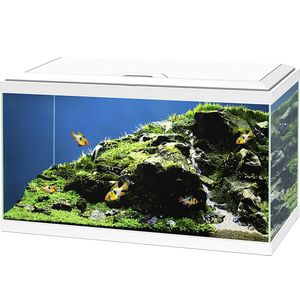 Ciano Aquarium Aqua 60 - Led - Wit - 60L