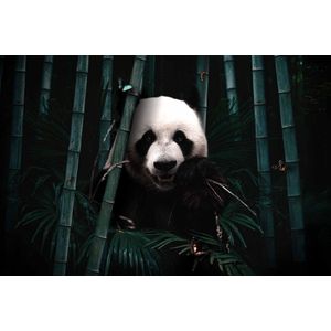 Jungle Panda op Textiel in Frame - WallCatcher | 180 x 120 cm | Breed zwart Textielframe 27 mm | Jungle Reuzenpanda op peesdoek