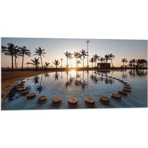 WallClassics - Vlag - Tropisch Meer met Palmbomen - 100x50 cm Foto op Polyester Vlag