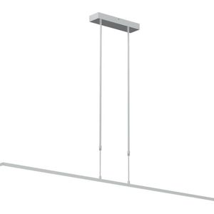 Hanglamp Steinhauer Zelena LED - Staal