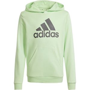 Adidas U BL kinder hoodie lichtgroen - Maat 164/170