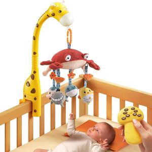 Lexium Baby Speelgoed 6 Maanden - Baby Speelgoed 3 Maanden - Baby Speelgoed 0 Jaar - Babyspeelgoed