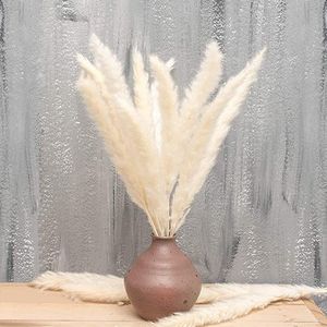 30Pcs Natuurlijke Gedroogde Pampas Gras, 43 CM Gedroogde Bloem Riet Boeket, Boho Decoratie voor Thuis Woonkamer Slaapkamer Keuken Bruiloft Arrangement DIY Party Kantoor Vaas Tafel Fotograp Decor (Wit)