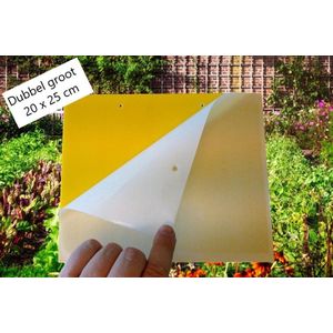 Fentini Gele Vangplaten Set (Extra Groot 20x25 cm) - 20 stuks totaal - vangplaat / lijmplank / lijmval / vangstrip / trips / bladluis / varenrouwmug / witte vlieg