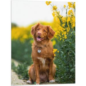 WallClassics - Vlag - Bruine Hond naast Gele Bloemen - 60x80 cm Foto op Polyester Vlag