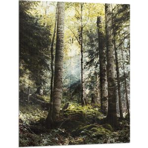 WallClassics - Vlag - Groene Bomen met Zon - 75x100 cm Foto op Polyester Vlag