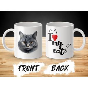 Mok Chantilly-Tiffany cat - kat - I love my cat - cat lovers - katten