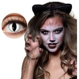 Boland - 3-maandslenzen Kat - Volwassenen - Halloween en Horror, Dieren - Halloween en Horror- Dieren