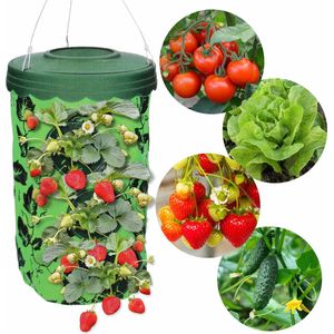 Hangpot voor tomaten of aardbeien, 10 gaten