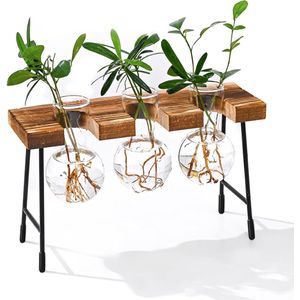 Reageerbuis Vaas Hydrocultuur Vaas hangvaas bloemenvaas tafelvaas luchtplanten terrarium bureau decoratieve vaas met houten houder glas plant voor kantoor huis tuin decoratie 3 vazen