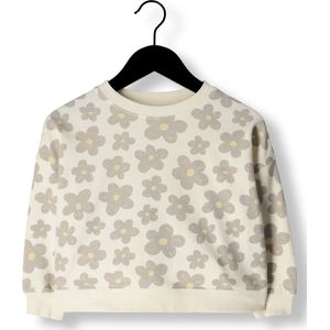 Rylee + Cru Boxy Pullover Truien & Vesten Unisex - Sweater - Hoodie - Vest- Grijs - Maat 116/122