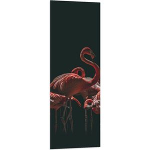 WallClassics - Vlag - Roze Flamingo's met Zwarte Achtergrond - 40x120 cm Foto op Polyester Vlag