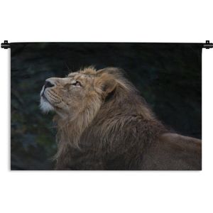 Wandkleed Leeuw - nieuw - Leeuw kijkt omhoog op een zwarte achtergrond Wandkleed katoen 150x100 cm - Wandtapijt met foto