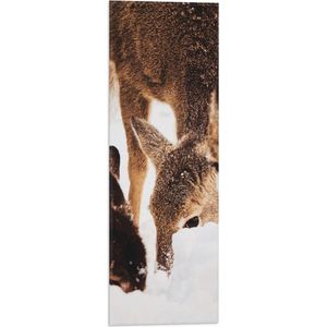WallClassics - Vlag - Hertjes in Sneeuw Spelend - 20x60 cm Foto op Polyester Vlag