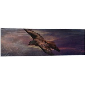 WallClassics - Vlag - Golden Eagle Vliegend - 120x40 cm Foto op Polyester Vlag