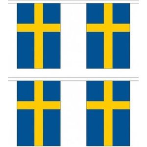 2x Buiten vlaggenlijnen Zweden 3 meter - Zweedse vlag - Zweden landen thema decoratie