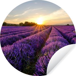 WallCircle - Behangcirkel - Zelfklevend behang - Lavendel - Zon - Landschap - Bloemen - Behangcirkel bloemen - Rond behang - 140x140 cm - Behangsticker - Cirkel behang