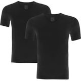 Alan Red - Vancouver T-shirt V-Hals Zwart 2-Pack - Heren - Maat L - Slim-fit