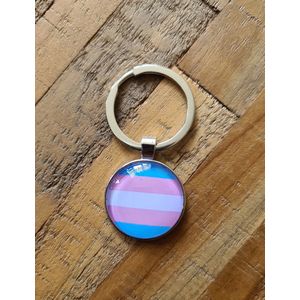 LGBTQ - Sleutelhanger LGBT trans vlag kleuren in transparante cirkel, diameter 2,5 cm (LGBTQIA+, pride, love, LHBTI+, LHBTIQA+, gay, trans, bi, lesbo, homo)