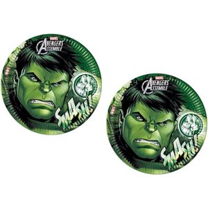 Marvel - The Avengers - De Hulk - Party bordjes - Feestbordjes - Borden - 16 stuks - Karton - 23Cm.