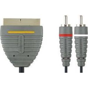 Bandridge BVL5802 video kabel adapter 2 m SCART (21-pin) 2 x RCA Zwart, Grijs