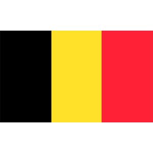 Belgische vlag raamsticker - Voetbal sticker - Rode duivels sticker - 100 x 60 cm - Afneembaar